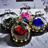 Forever Rose in Glass Dome with LED Light for Valentine and Special Occasions