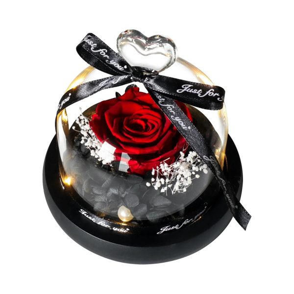 Forever Rose in Glass Dome with LED Light for Valentine and Special Occasions