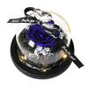 Forever Rose in Glass Dome with LED Light for Valentine and Special Occasions