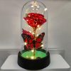 Forever Rose LED in Glass Dome – Romantic Gift for Mom or Wife