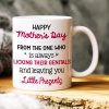 From The One Who Is Always Licking Their Genitals, Personalized Mug, Gift For Cat Lovers