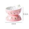 Fruit-Themed Ceramic Cat Bowls