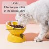 Fruit-Themed Ceramic Cat Bowls