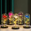 Galaxy Eternal Rose in Dome with LED Lights – Romantic Gift for Valentine’s Day, Mother’s Day, Wedding