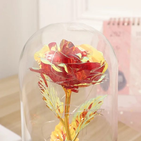 Galaxy Eternal Rose in Dome with LED Lights – Romantic Gift for Valentine’s Day, Mother’s Day, Wedding