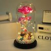 Galaxy Eternal Rose in Glass Dome with Light and Butterfly – Mother’s Day Gift
