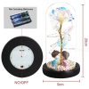 Galaxy Eternal Rose in Glass Dome with Light and Butterfly – Mother’s Day Gift