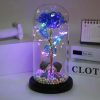 Galaxy Eternal Rose in Glass Dome with Light and Butterfly – Mother’s Day Gift