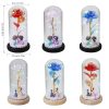 Galaxy Eternal Rose in Glass Dome with Light and Butterfly – Mother’s Day Gift