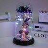 Galaxy Eternal Rose in Glass Dome with Light and Butterfly – Mother’s Day Gift