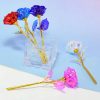 Galaxy Gold Foil Eternal Rose