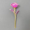 Galaxy Gold Foil Eternal Rose