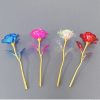 Galaxy Gold Foil Eternal Rose