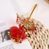 Galaxy Gold Foil Eternal Rose