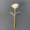Galaxy Gold Foil Eternal Rose