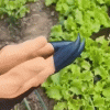 Garden Planting Gloves