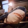 Giant Soft Shark Plush Toy - Cozy Fish Pillow for Kids & Gifts