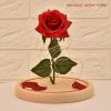 Glass Cover Rose Led Super Light
