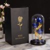 Glass Dome LED Rose – Romantic Gift for Women