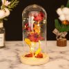 Glass Dome LED Rose – Romantic Gift for Women