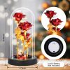 Glass Dome LED Rose – Romantic Gift for Women