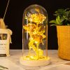Glass Dome LED Rose – Romantic Gift for Women