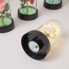 Glowing Galaxy Eternal Double Rose with LED Lights Romantic Gift for Valentine’s Day and Wedding