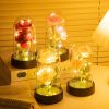 Glowing Galaxy Eternal Double Rose with LED Lights Romantic Gift for Valentine’s Day and Wedding