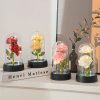 Glowing Galaxy Eternal Double Rose with LED Lights Romantic Gift for Valentine’s Day and Wedding