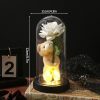 Glowing Galaxy Eternal Double Rose with LED Lights Romantic Gift for Valentine’s Day and Wedding