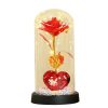 Golden Eternal Rose Night Light Decoration