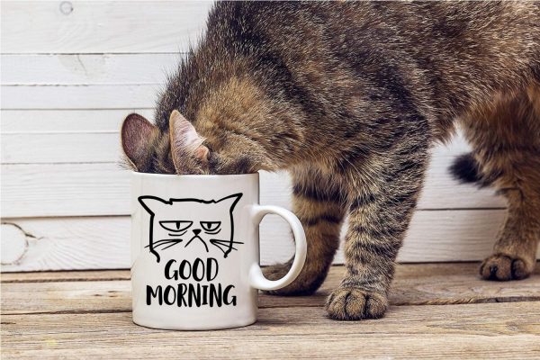 Good Morning Grumpy Cat Coffee Mug Funny Cat Lover Gift for Cat Mom Women Friend