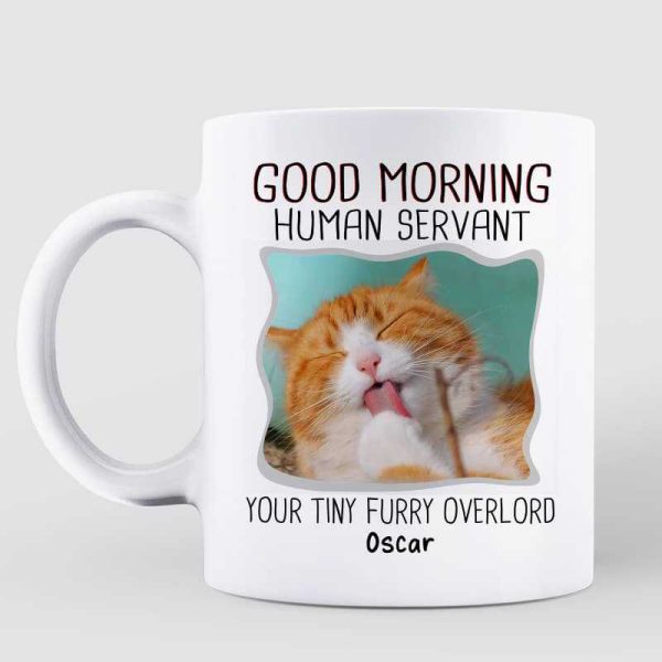 Good Morning Human Servant Dog Cat Photo Personalized Mug