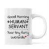 Good Morning Human Servant Fluffy Cat Tower Personalized Mug