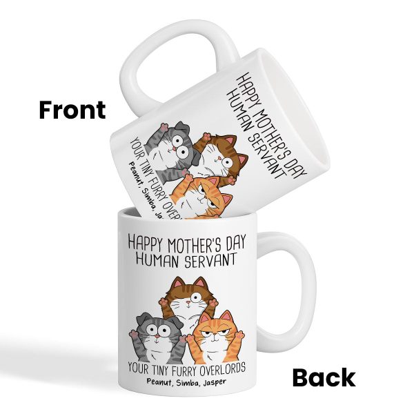 Good Morning Human Servant, Funny Cat Lover Mug, Gift For Cat Dad, Cat Mom