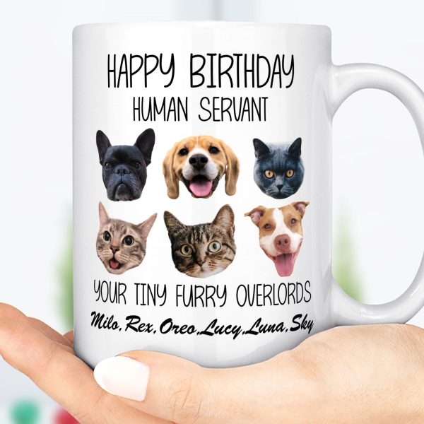 Good Morning Human Servant Personalized Custom Photo Dog Cat Head Mug TA29