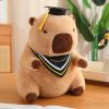 Graduate Plush Dolls: Adorable Capybara, Owl & Bear Stuffed Toys