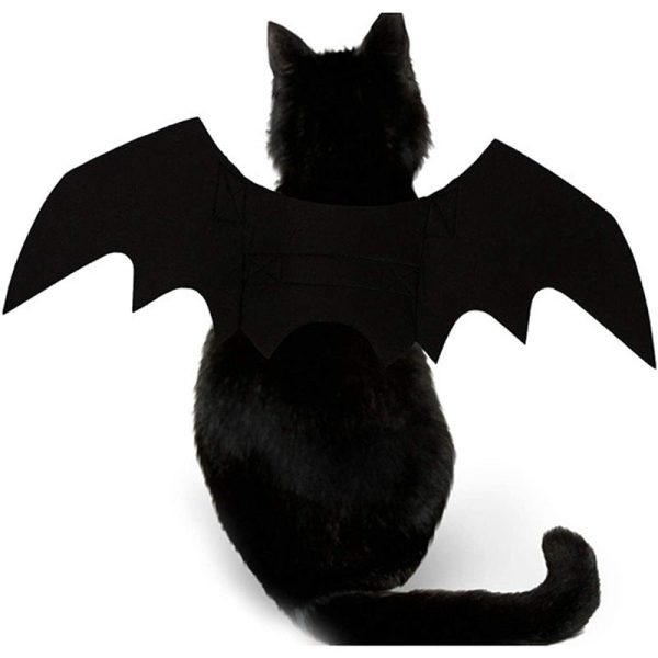 Halloween Kitty Bat Wings