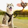 Hand Grip Leash