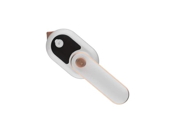 Handheld Steam Iron Wet Dry Ironing Machine