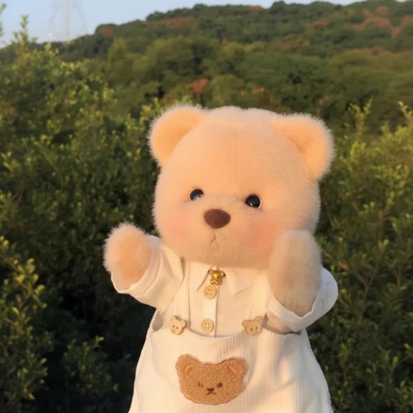 Handmade Teddy Bear Plush Doll with Outfit 30cm