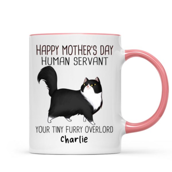 Happy Mother's Day Human Servant Cartoon Walking Cat Personalized Mug