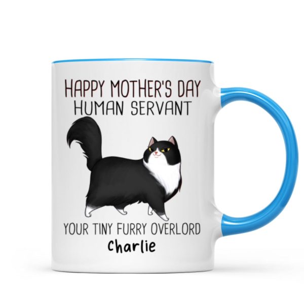 Happy Mother's Day Human Servant Cartoon Walking Cat Personalized Mug