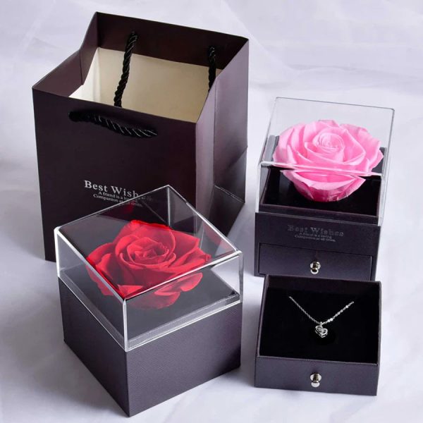 Heart Projection Necklace with I Love You in 100 Languages
