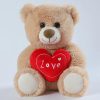 Heart Teddy Bear Plush 25cm