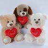 Heart Teddy Bear Plush 25cm
