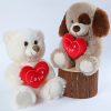 Heart Teddy Bear Plush 25cm