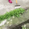 Heavy Duty Outdoor Garden Shovel For Quick Weeding And Cleaning