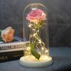 Immortal Rose