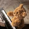 Jellycat Barcelona Teddy Bear Plush Doll - Cozy Companion & Room Decor
